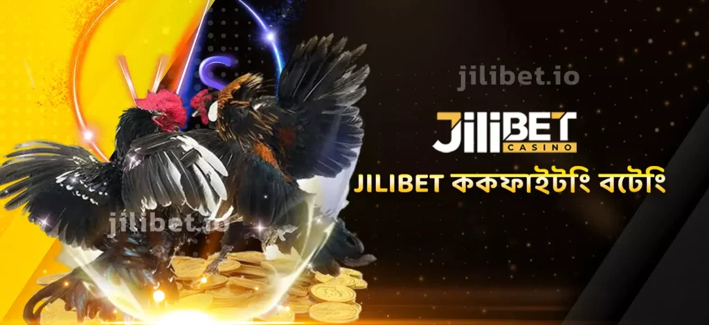 Jilibet ককফাইটিং